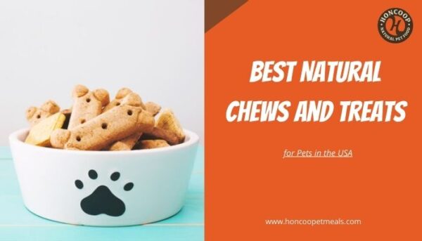 Best Natural Chews and Treats for Pets in the USA