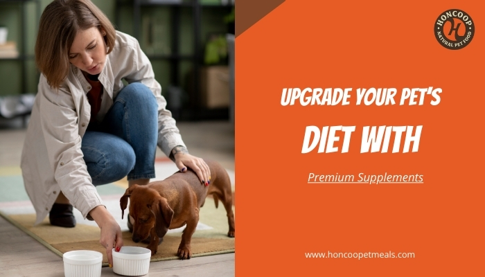 Upgrade Your Pet’s Diet with Premium Supplements