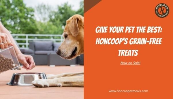 Give Your Pet the Best: Honcoop’s Grain-Free Treats, Now on Sale!