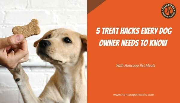 5 Treat Hacks Every Dog Owner Needs to Know with Honcoop Pet Meals