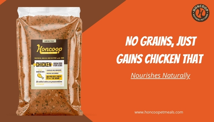 No Grains, Just Gains: Chicken That Nourishes Naturally