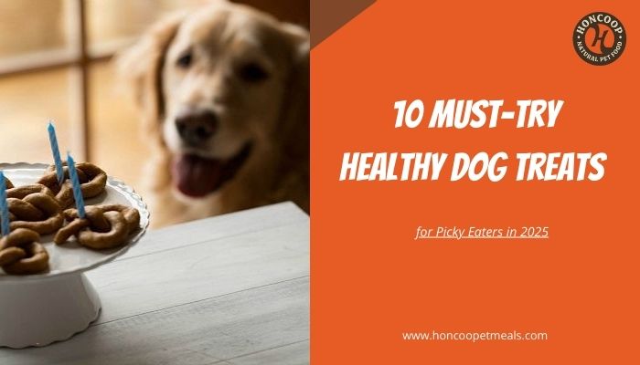 10 Must-Try Healthy Dog Treats for Picky Eaters in 2025