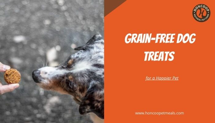 Grain-Free Dog Treats for a Happier Pet