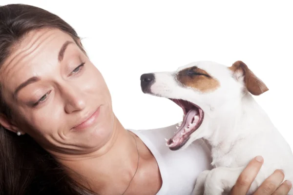 Bad Breath in Dogs