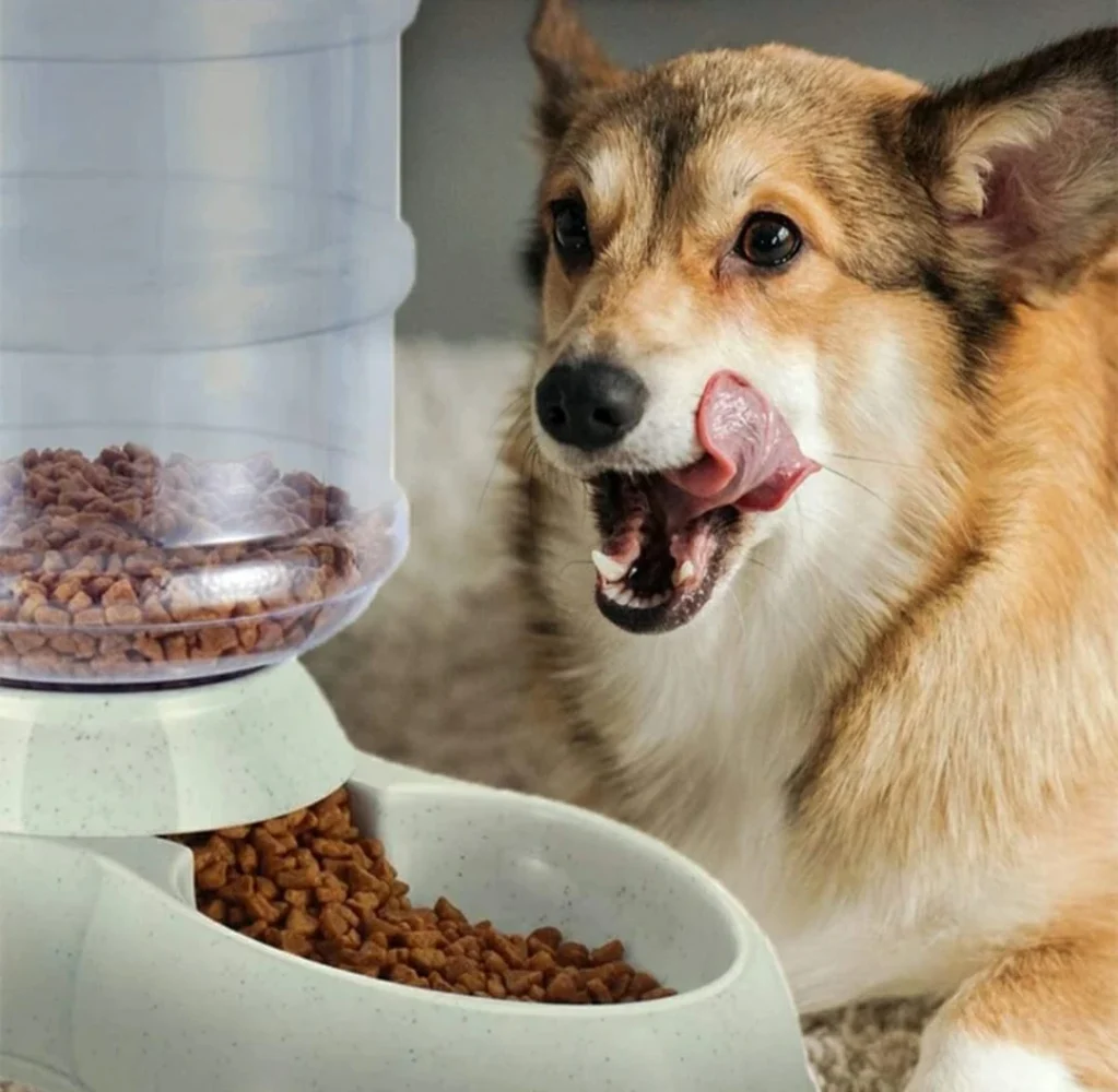 Best Dog Food Brands in the USA