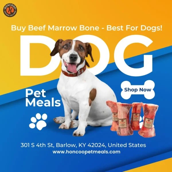 Buy Beef Marrow Bone - Best For Dogs!