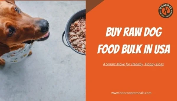 Buy Raw Dog Food Bulk in USA