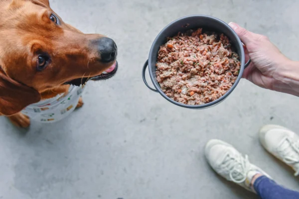 Buy Raw Dog Food Bulk in USA
