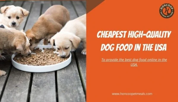 Cheapest High-Quality Dog Food in the USA