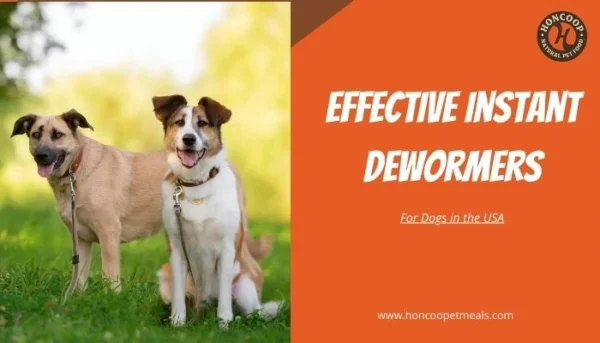 Effective Instant Dewormers
