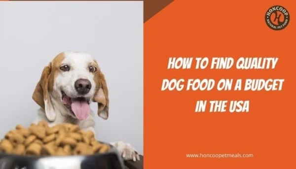 How to Find Quality Dog Food on a Budget in the USA
