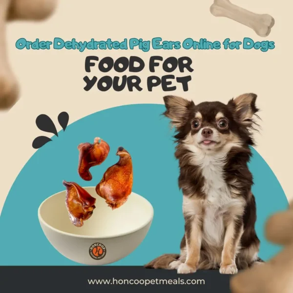 Order Dehydrated Pig Ears Online for Dogs