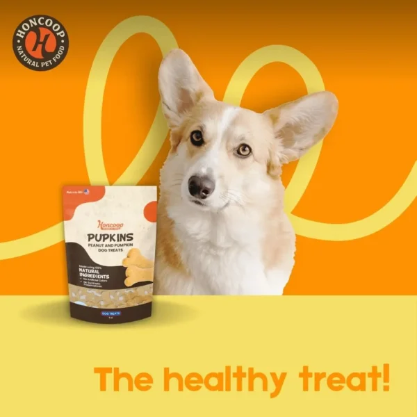 Order Peanut Butter Treat Online For Dogs