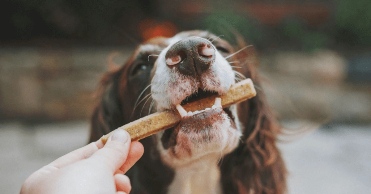 Purchase All Natural Dog Treats Made in USA