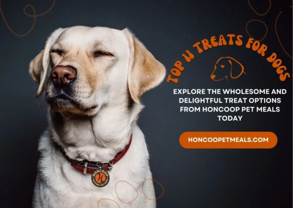 11 Treats For Dogs