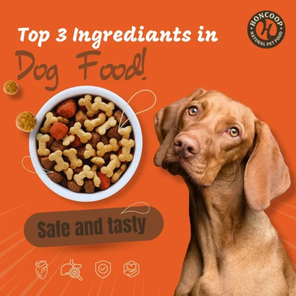 Top 3 Ingrediants in dog food