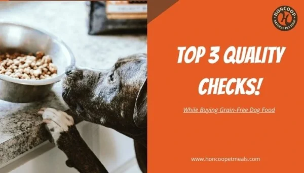 Top 3 Quality Checks While Buying Grain-Free Dog Food