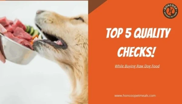 Top 5 Quality Checks While Buying Raw Dog Food