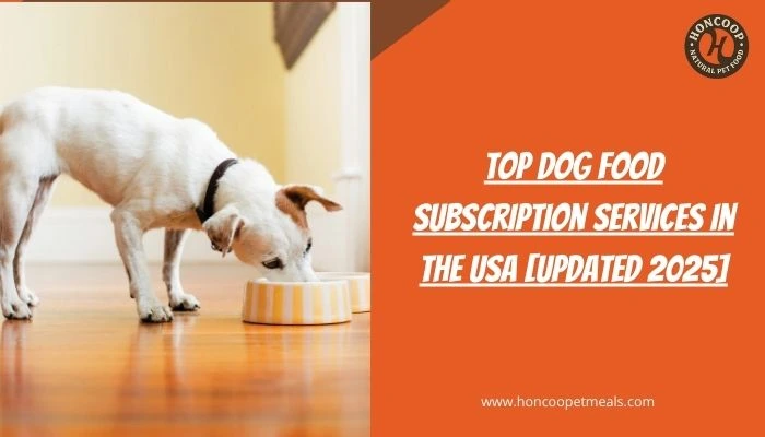 Top Dog Food Subscription Services in the USA