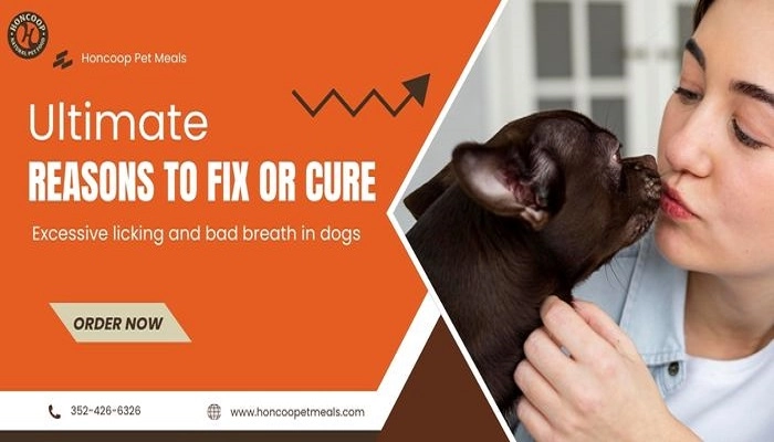 Ultimate Reasons to Fix or Cure Excessive licking and bad breath in dogs
