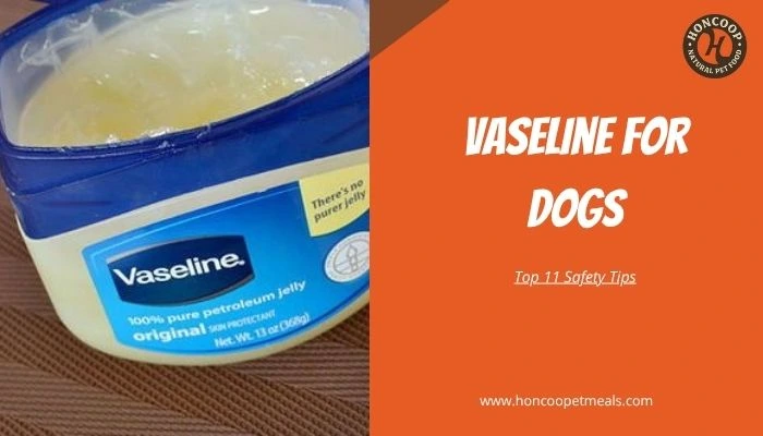 Vaseline for Dogs Top 11 Safety Tips