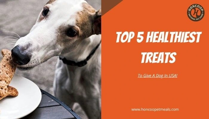 top 5 healthiest treats To Give A Dog In USA